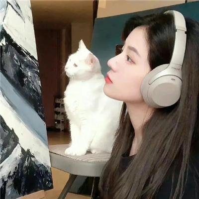 副总统第二季